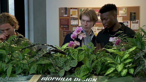 U of M biophilia design exhibit looks at impact on personal and community health