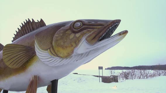 Walleye fishing on Mille Lacs Lake: Business owners thrilled about full season