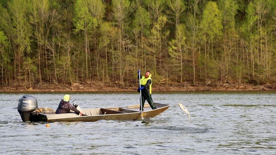 Why capturing 30 invasive carp on Mississippi River near Winona is significant