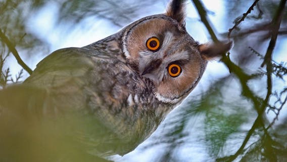 What to do in Minnesota: 6 things to do this weekend (March 3-5)