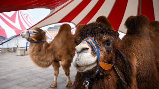 What to do in Minnesota: 6 things to do this weekend (March 24-26)