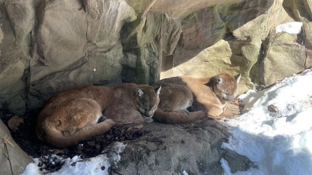 Spring break activities in Minnesota