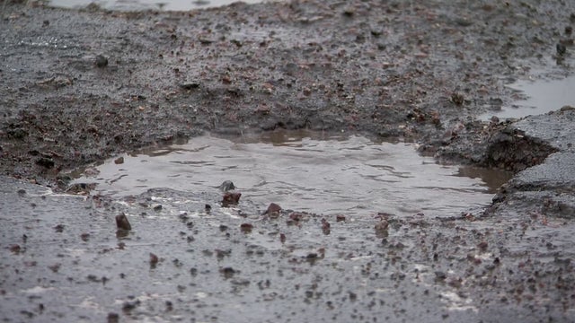 Minneapolis potholes uncover city's old brick streets and streetcar lines