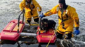 Dog rescued after falling through ice on Minnesota lake