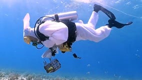 Underwater Easter egg hunt held for divers in Florida Keys
