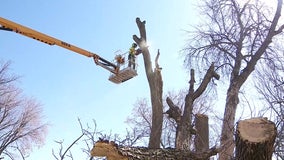 Program trains Minnesotans for outside work