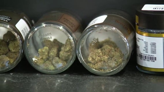 Albert Lea rejects Minnesota's first cannabis business dispensary off tribal land