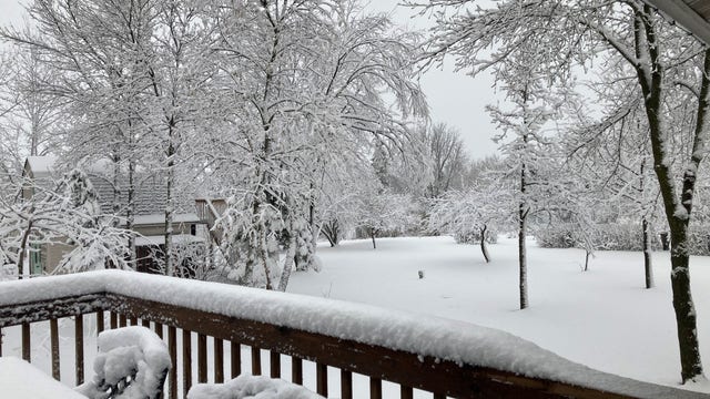 It's back! Snow makes its return Sunday