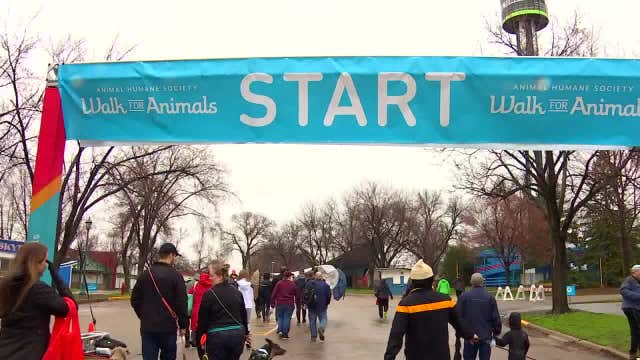 Canine influenza: Walk for Animals will be held without dogs