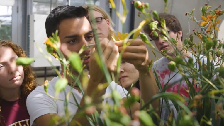 A new survey conducted by the University of Minnesota’s College of Food, Agricultural and Natural Resource Sciences (CFANS) shows that 90 percent of respondents indicated it was important to pursue careers in which they can make a difference. (Image courtesy of the University of Minnesota)