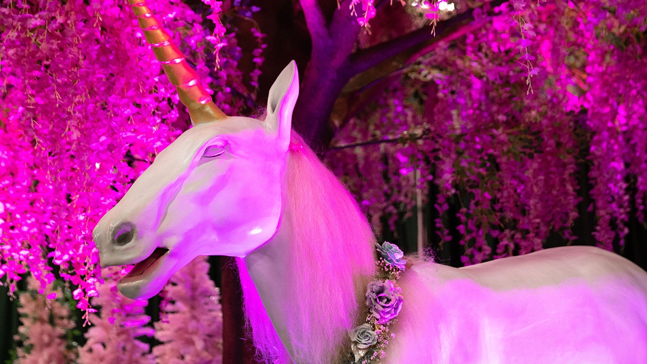 Unicorn World' is a real thing coming to a city near you | FOX 9