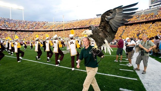 Bald eagle education ambassador dies after 24 years with Raptor Center
