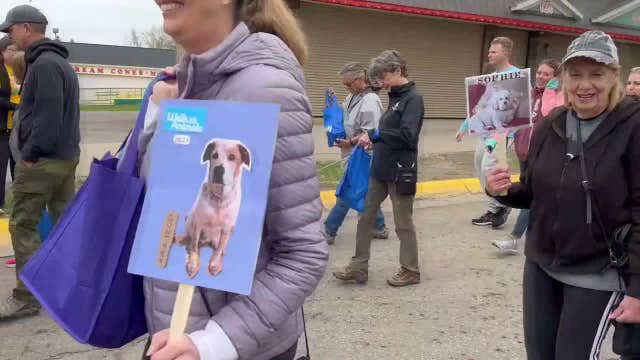Canine Influenza forces changes at Walk for Animals