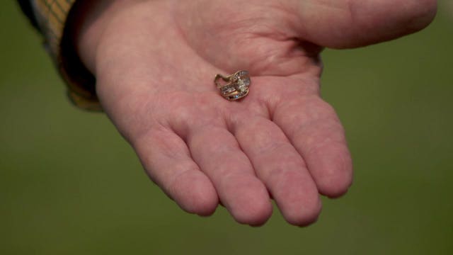 Diamond ring found in wastewater treatment plant returned to owner after 13 years