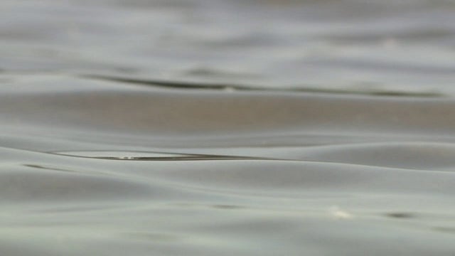 Monticello man who died in Mississippi River boat accident ID'd as father of 4