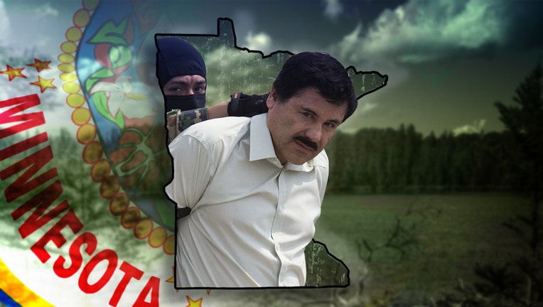 Joaquín "El Chapo" Guzmán may have never been to Minnesota, but the D.E.A. says the cartel he used to run is very active here. (Image: Original photo of Guzmán by Getty Images, Photoshop by FOX 9 Creative Services)