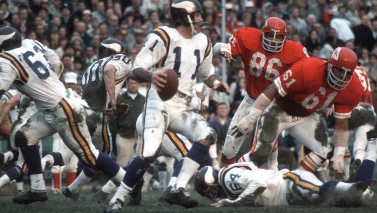 Joe Kapp