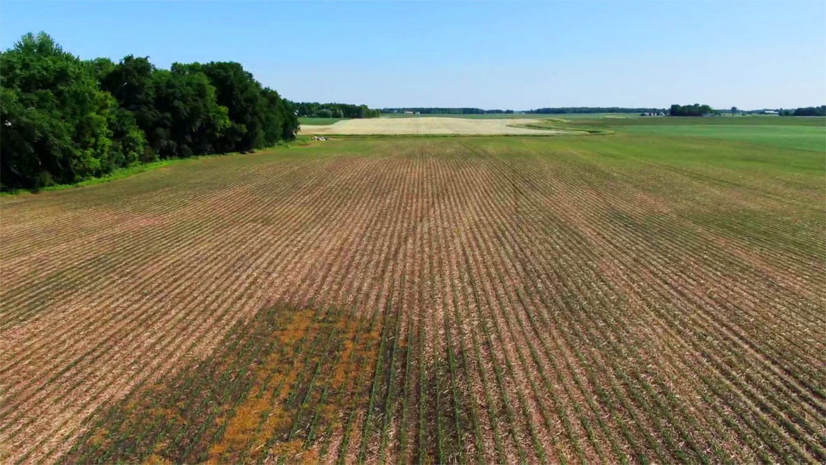 Walz signs executive order to cut fuel costs for Minnesota farmers, loggers, and truckers