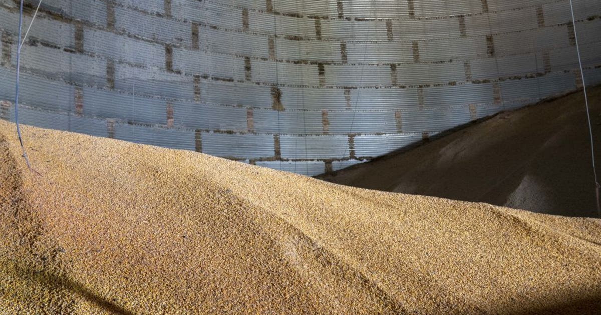 Man dies after being trapped inside grain bin in western Minnesota ...