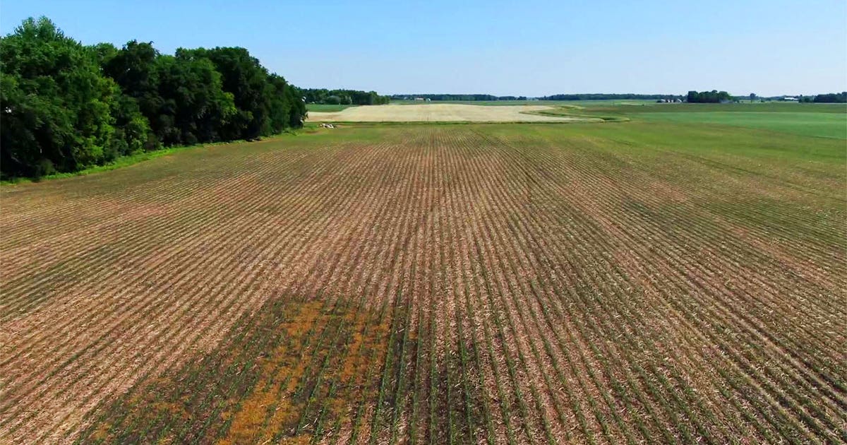 Walz signs executive order to cut fuel costs for Minnesota farmers, loggers, and truckers