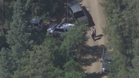 Deadly bear attack in Groom Creek near Prescott: Necropsy conducted, results announced