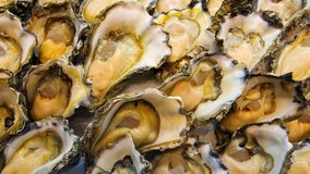 Man dies from bacterial infection after eating raw oysters sold at Missouri seafood stand