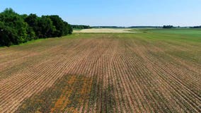 Minnesota farmers hope for rain after dry start to June