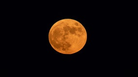Strawberry moon: June's full moon peaks Saturday night