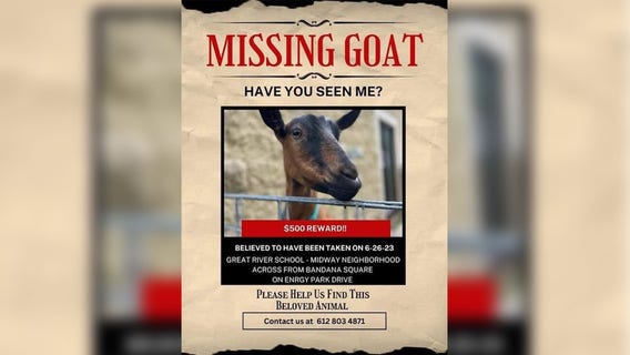 Goat missing from St. Paul school found dead: Police