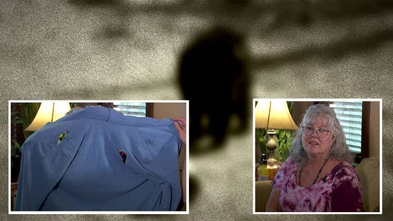 Minnesota bear attack: Grandmother recounts frightening encounter