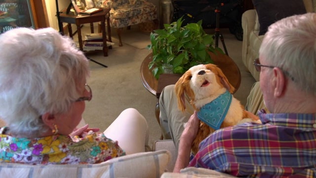 Animatronic therapy pets help captivate and comfort people with dementia