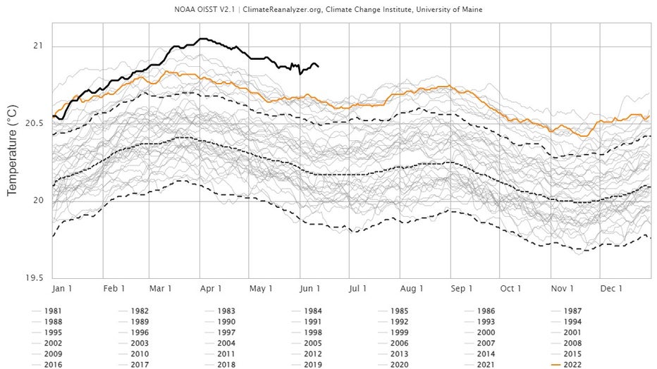 World temperatures