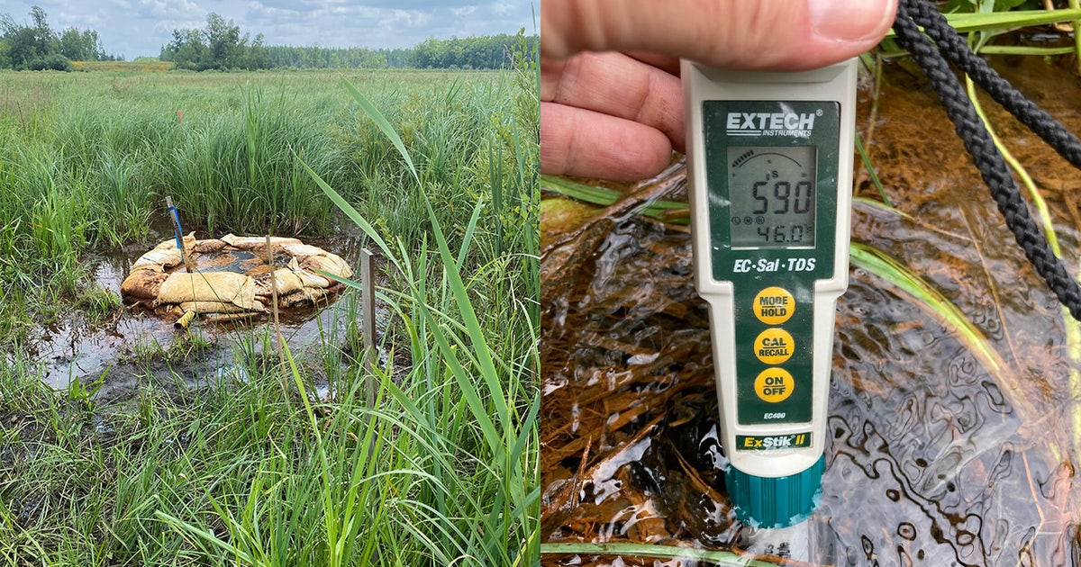 oil-breach.jpg?ve=1&tl=1