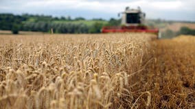 Minnesota joins USDA partnership to enhance competition in agriculture