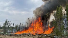 Wildfires: Simultaneously our friend and foe
