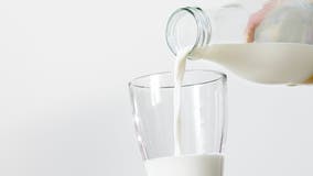 5 children sickened with salmonella after drinking raw milk: MDH