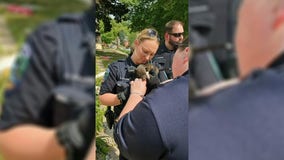 2 puppies lost in house explosion found safe