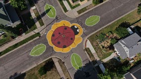 Hopkins neighborhood buzzing over ladybug intersection