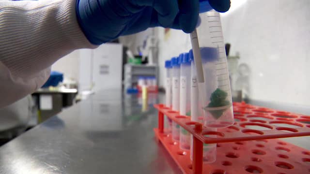 New laws mean THC gummies should now be safer in Minnesota