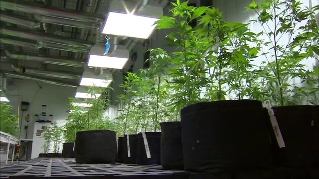 St. Paul City Council passes cannabis business zoning ordinance