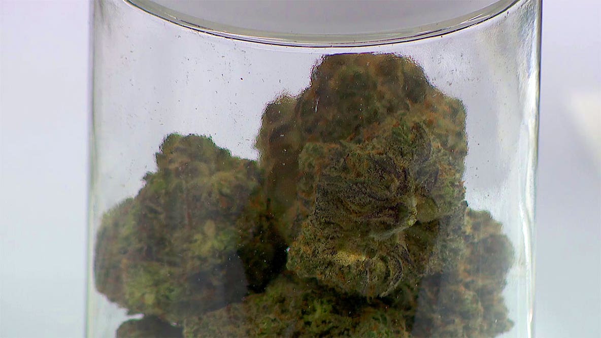 Forest Lake man charged after pounds of cannabis, gold found in home