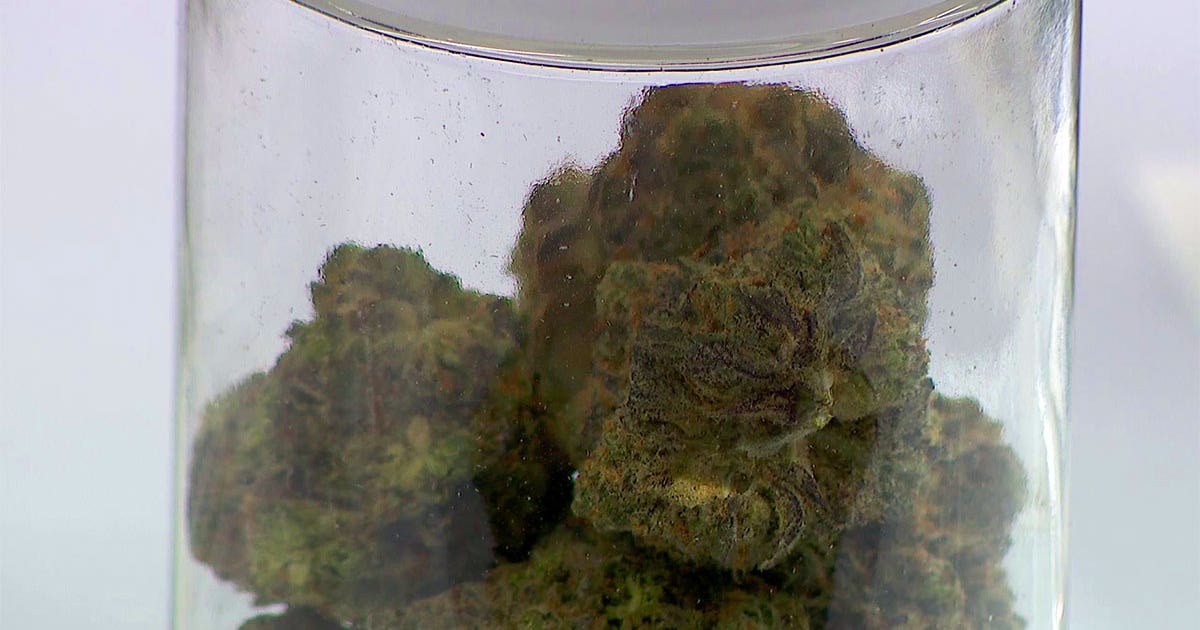 Forest Lake man charged after pounds of cannabis, gold found in home