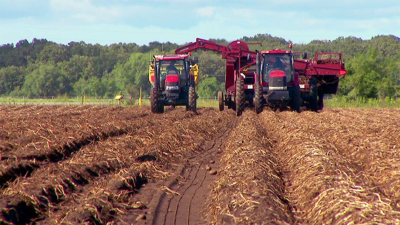 Minnesota Farmers Still Need Rain Despite Recent Storms Throughout ...