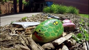 Growing 'rock snake' in West St. Paul becomes community collaboration