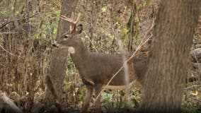 2 men accidentally shot by children during Minnesota youth deer hunting season