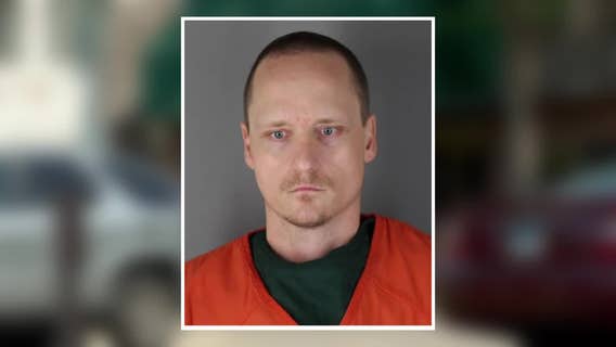 Hopkins man pleads guilty to ex-girlfriend's gruesome murder