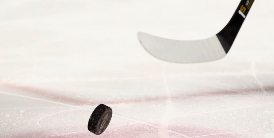 Minnesota among original franchises in new women's pro hockey league