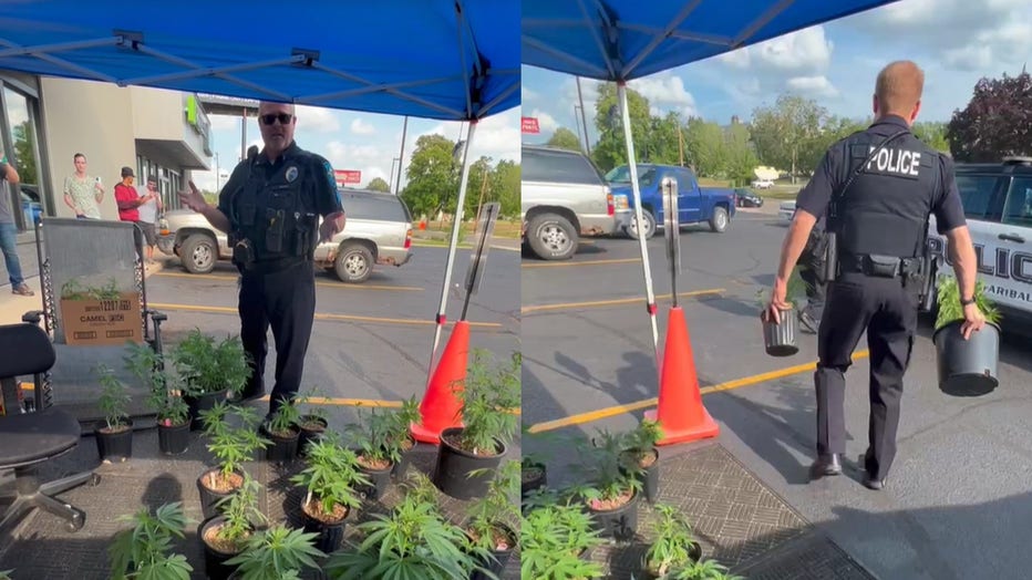Faribault police seize marijuana plants from a tent sale at Total Tobacco
