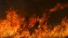 University of Minnesota study shows prescribed burns revive prairie lands