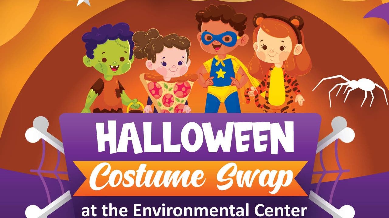 Restore the Shore Rollercoaster Halloween Costume